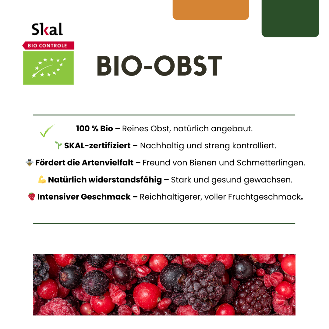 „Früchte-Party“ BIO Obstpflanzen-Mix – Set mit 3 verschiedenen Sorten