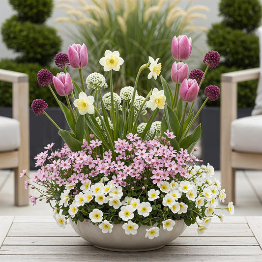 GreenboutiQ - Blumenzwiebeln - Zwiebel Garten Pink Mischung - Bulbs Hardy Perennial - Verschiedene Arten - Farbe Rosa - 125 Stück - Geschenkverpackung