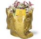 Tradescantia Sweetness - Ø10,5cm - ↕10cm + Planter Olifant D11/12x10cm - Gold