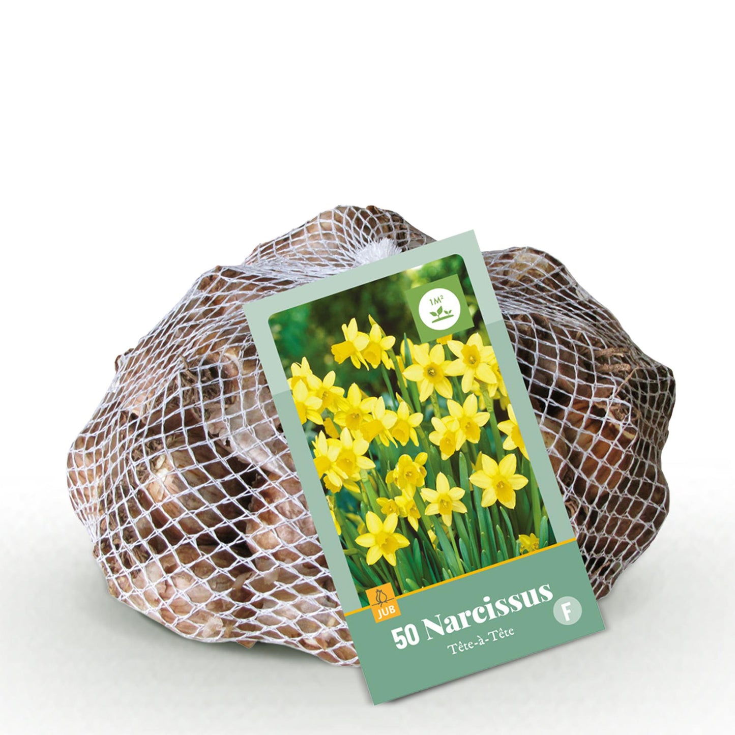 GreenboutiQ - Blumenzwiebeln - Narcis Tete-A-Tete - Bulbs Hardy Perennial - Farbe Gelb - 50 Stück - Zwiebelgröße 10/12
