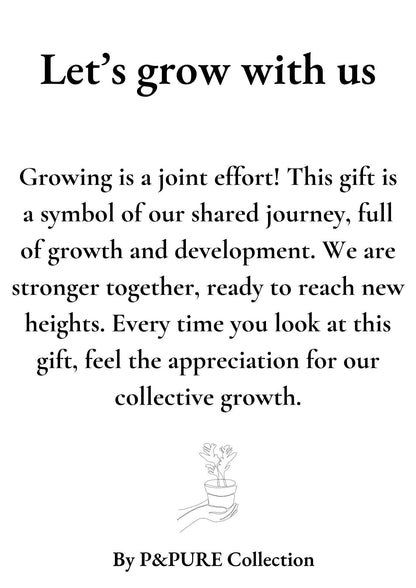 Sansevieria Gift "Let's Grow With Us" WITH GREETING CARD! - Ø12cm - ↕30cm