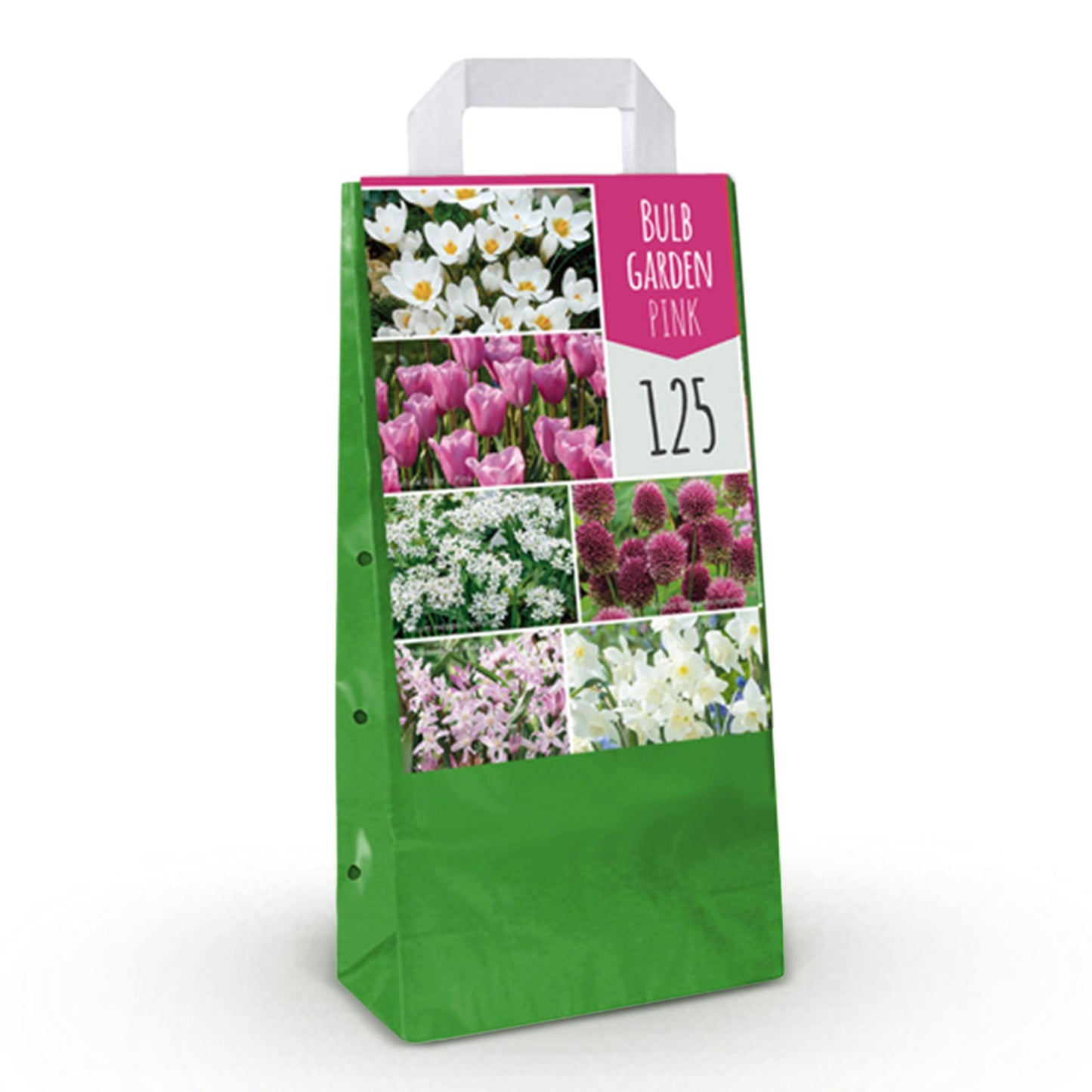GreenboutiQ - Blumenzwiebeln - Zwiebel Garten Pink Mischung - Bulbs Hardy Perennial - Verschiedene Arten - Farbe Rosa - 125 Stück - Geschenkverpackung