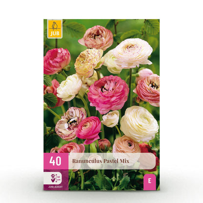 GreenboutiQ - Blumenzwiebeln - Ranunculus Pastel Mix - Bulbs Hardy Perennial - Verschiedene Farben - 40 Stück - Zwiebelgröße 5/6 - XXL Pack