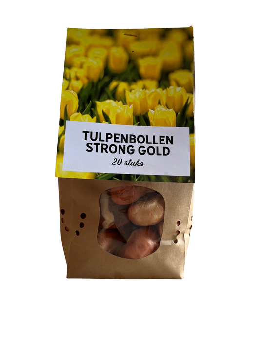 Tulpenbollen Strong Gold – 20 Stuks | KH Bloembollen® | Gele Tulp – Stralend & Krachtig – Voor Tuin of Pot – Maat 11/12 – Vers van de Teler