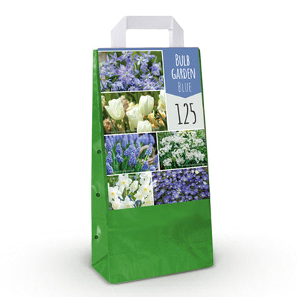 GreenboutiQ - Blumenzwiebeln - Zwiebel Garten Blue Mix - Bulbs Hardy Perennial - Verschiedene Arten - Farbe Blau - 125 Stück - Geschenkverpackung